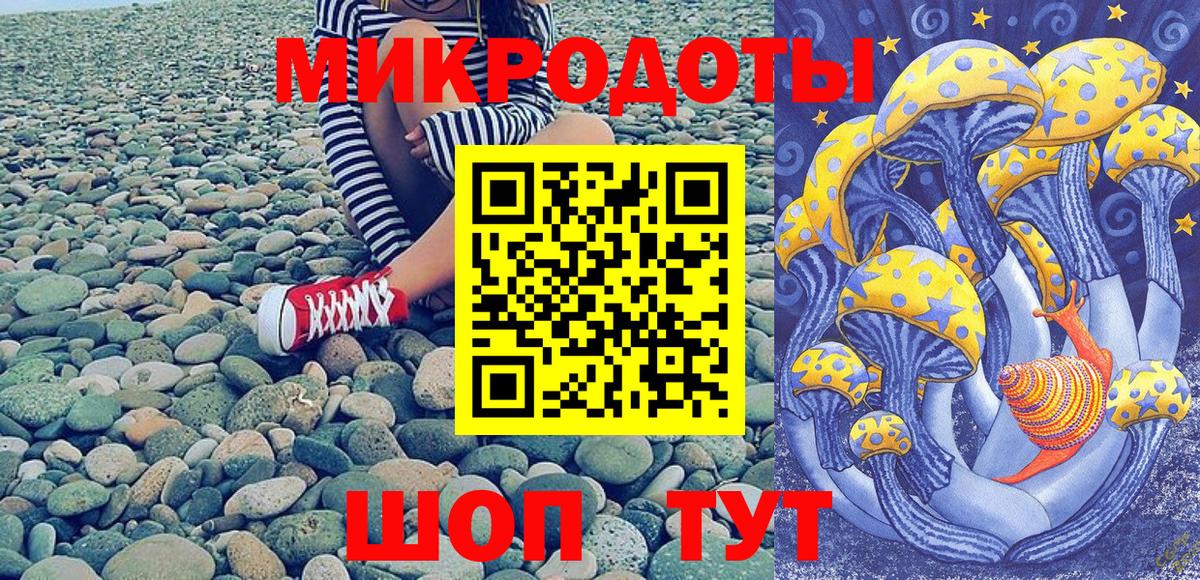 Псилоцибиновые грибы Psilocybine cubensis Кизилюрт