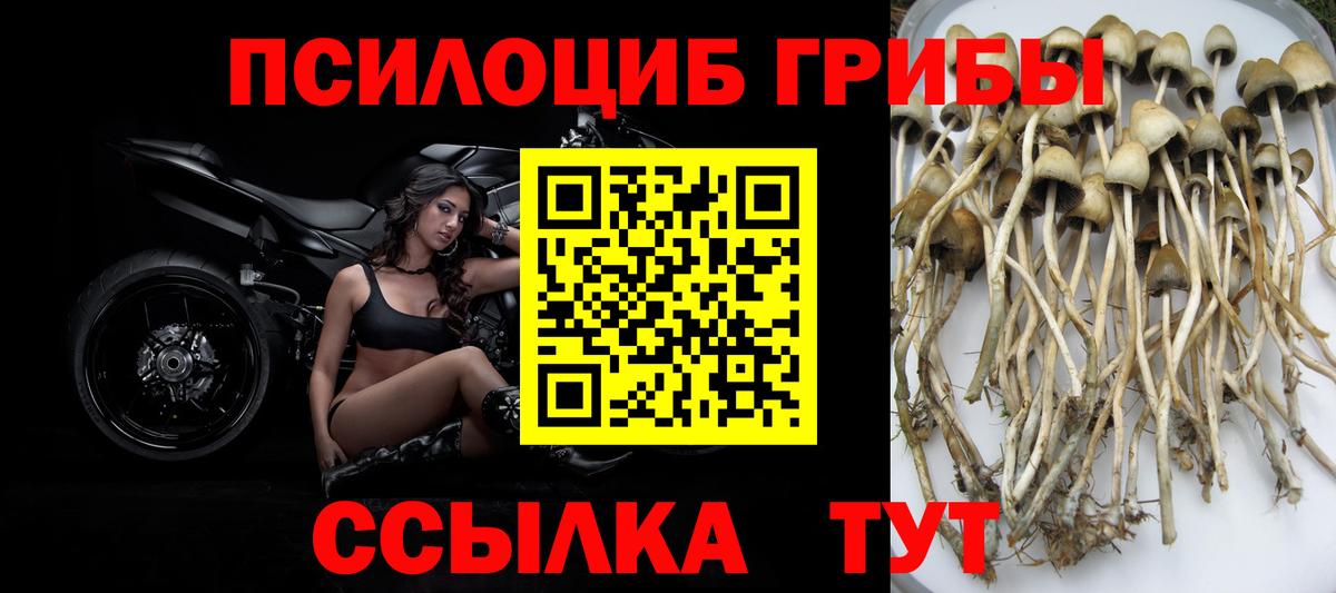 купить   Псилоцибиновые грибы прущие грибы  Вход с VPN  Кизилюрт 
