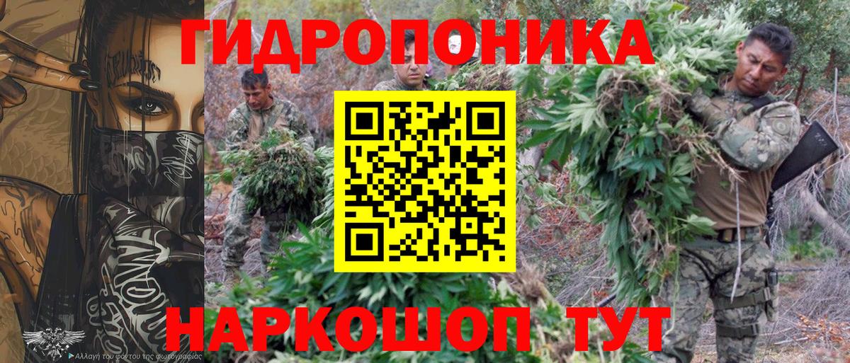 Шишки марихуана планчик  Вход с VPN  МАРИХУАНА план  Кизилюрт  Бошки Шишки планчик 